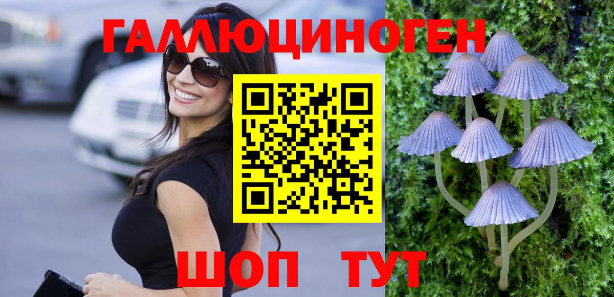 Галлюциногенные грибы Psilocybine cubensis Усинск